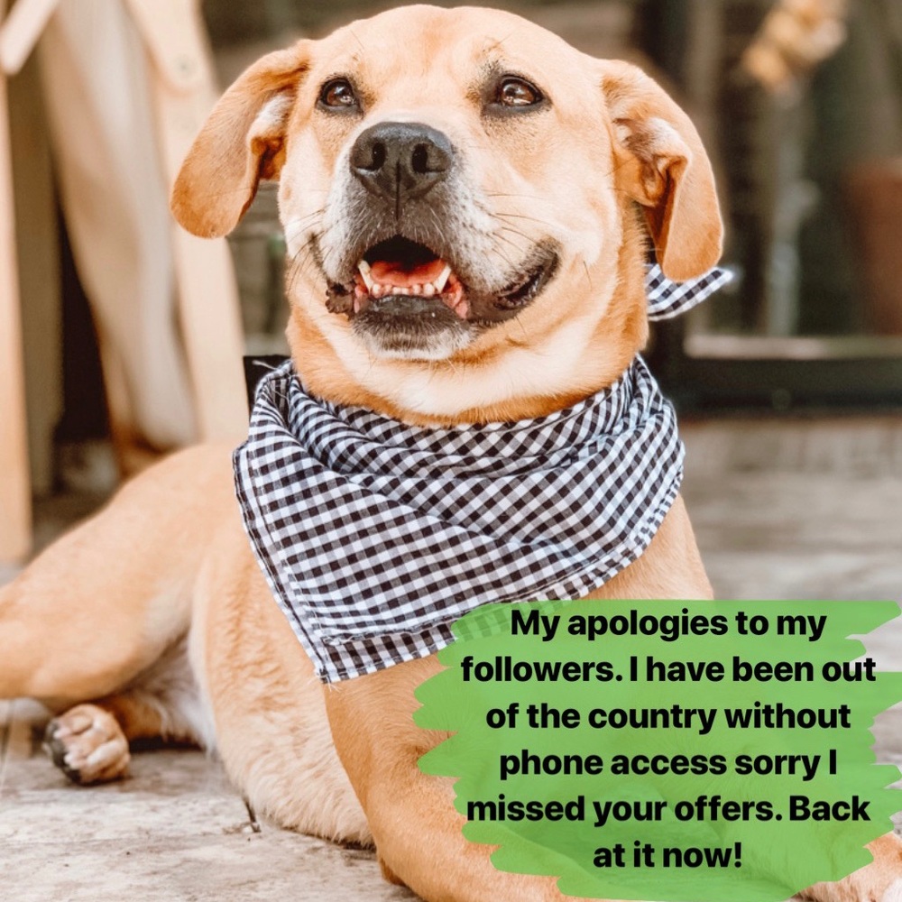 Sorry for any inconvenience!